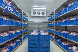 Rahasia Menyimpan Produk Daging Beku agar Tetap Segar dan Aman